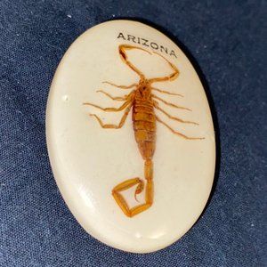 Vintage Arizona Scorpion Refrigerator Magnet